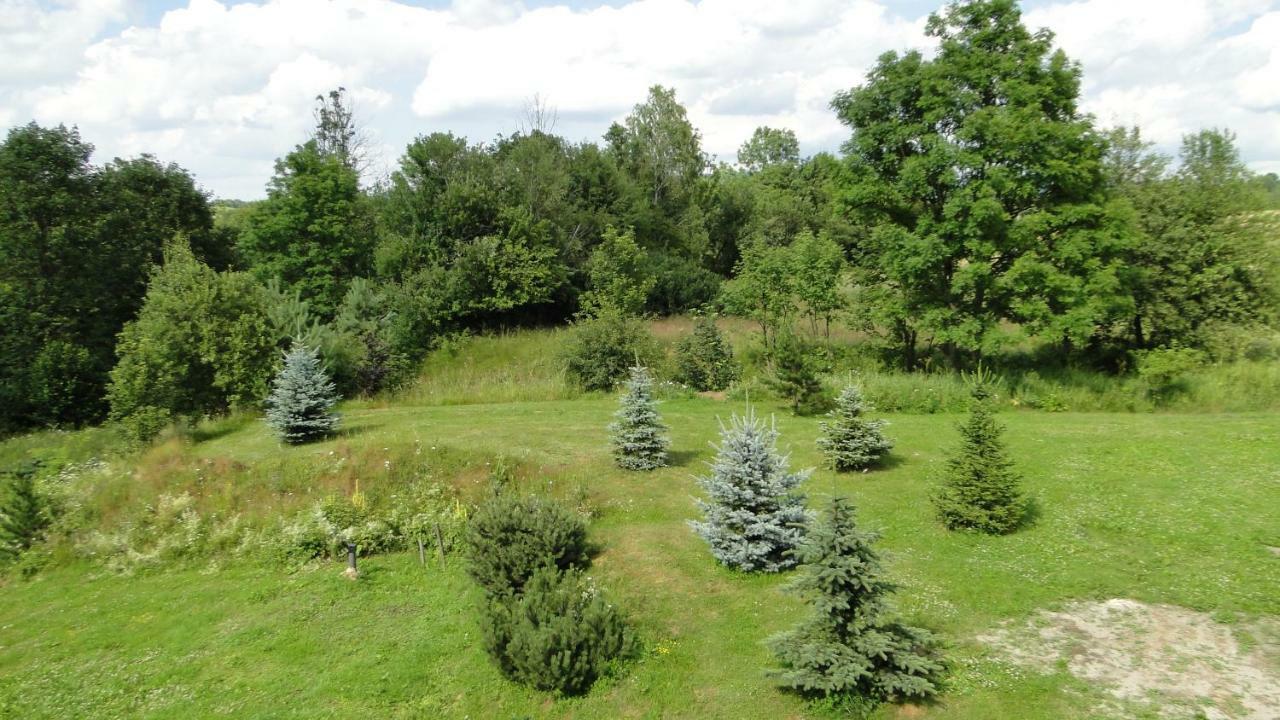 Gutkowa Koliba Jasliska Exterior photo